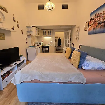 公寓 斯洛文尼亚布拉格公寓 *