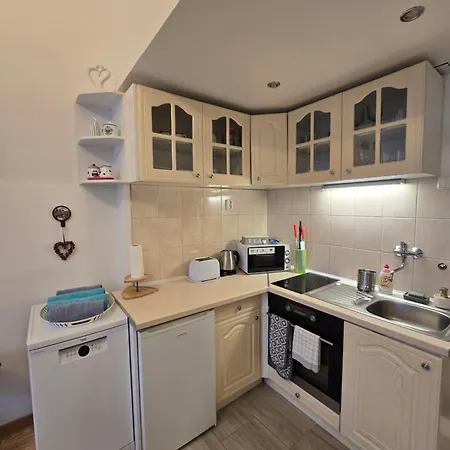 斯洛文尼亚布拉格公寓 * 布拉格