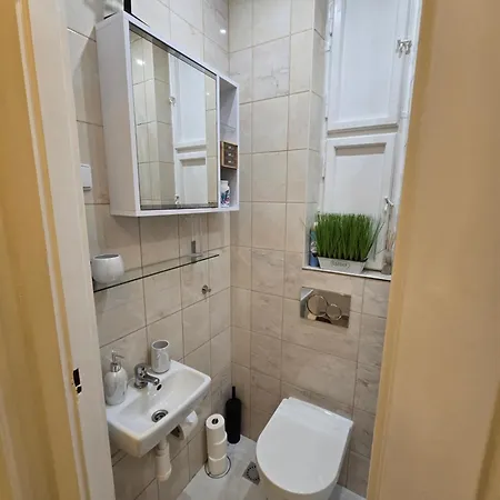 斯洛文尼亚布拉格公寓