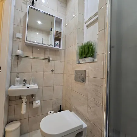 斯洛文尼亚布拉格公寓 布拉格