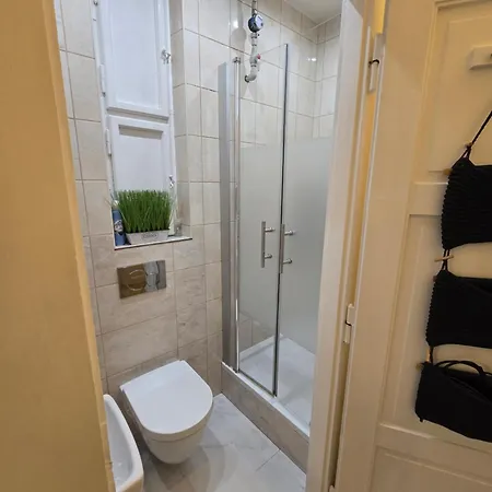 公寓 斯洛文尼亚布拉格公寓 布拉格