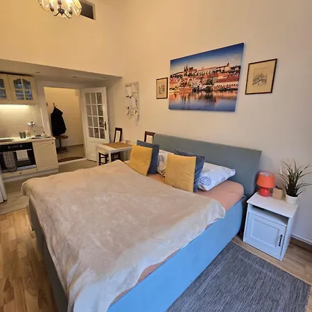 斯洛文尼亚布拉格公寓 * 布拉格