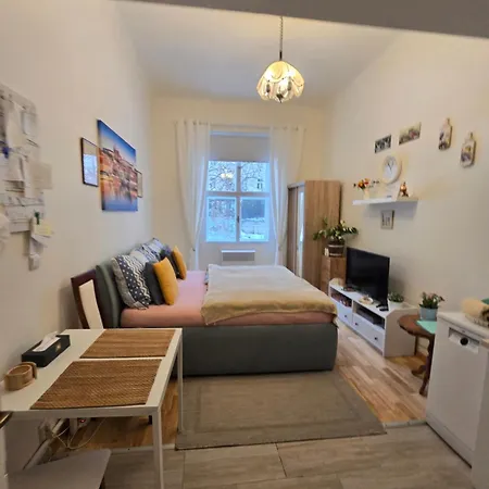 斯洛文尼亚布拉格公寓 公寓 布拉格